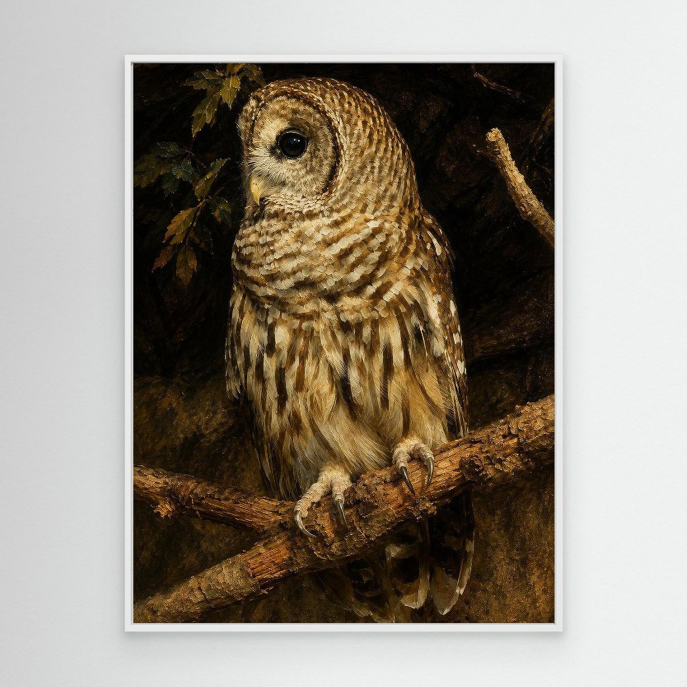 Wildlife | Barred Owl