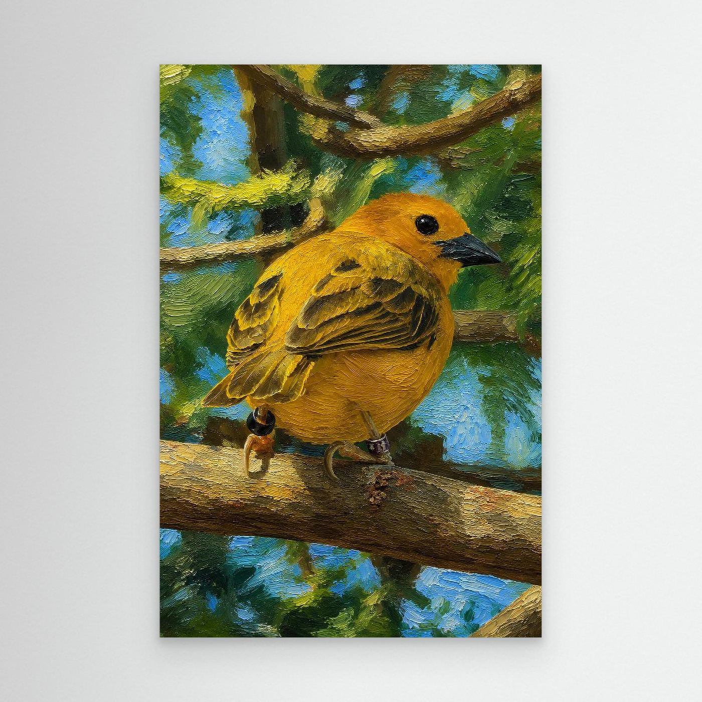 Wildlife | Taveta Golden Weaver