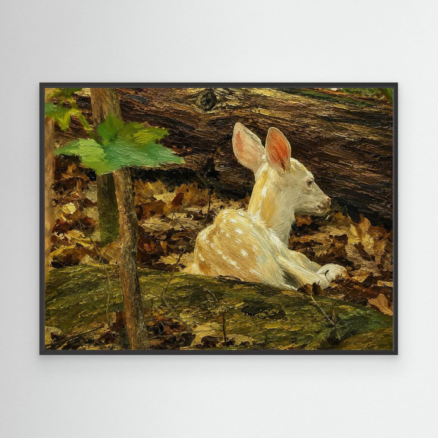 Wildlife | White Deer Fawn - 002