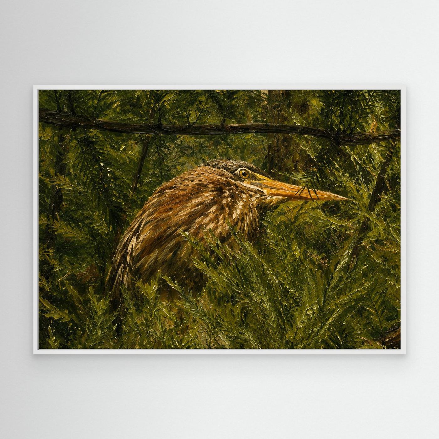 Wildlife | American Bittern