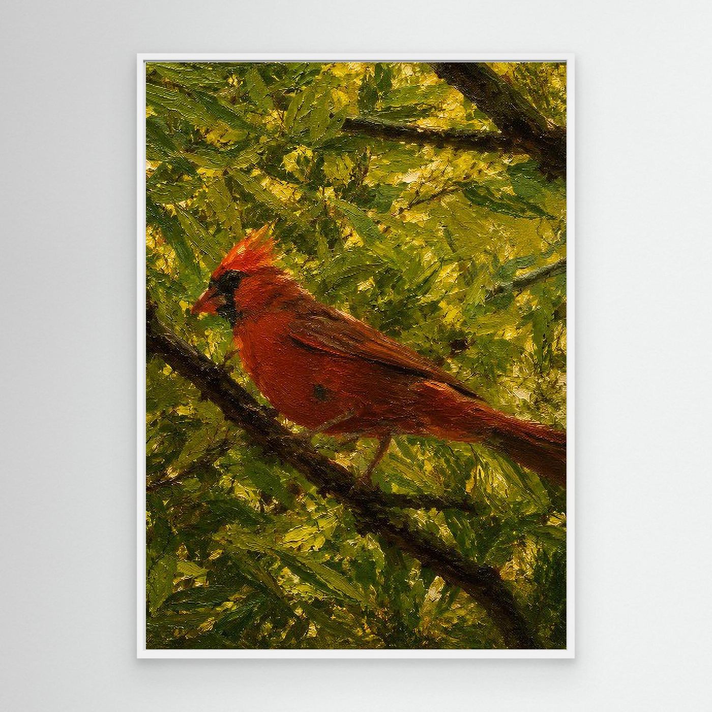 Wildlife | Northern Cardinal