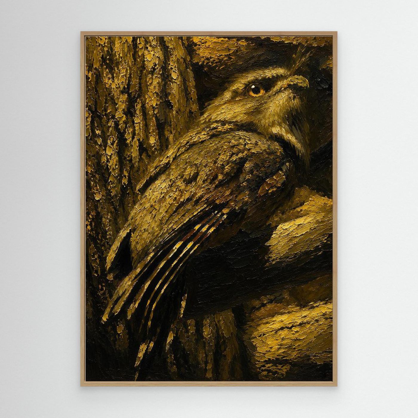 Wildlife | Tawny Frogmouth