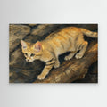 Wildlife | Sandcat - 002