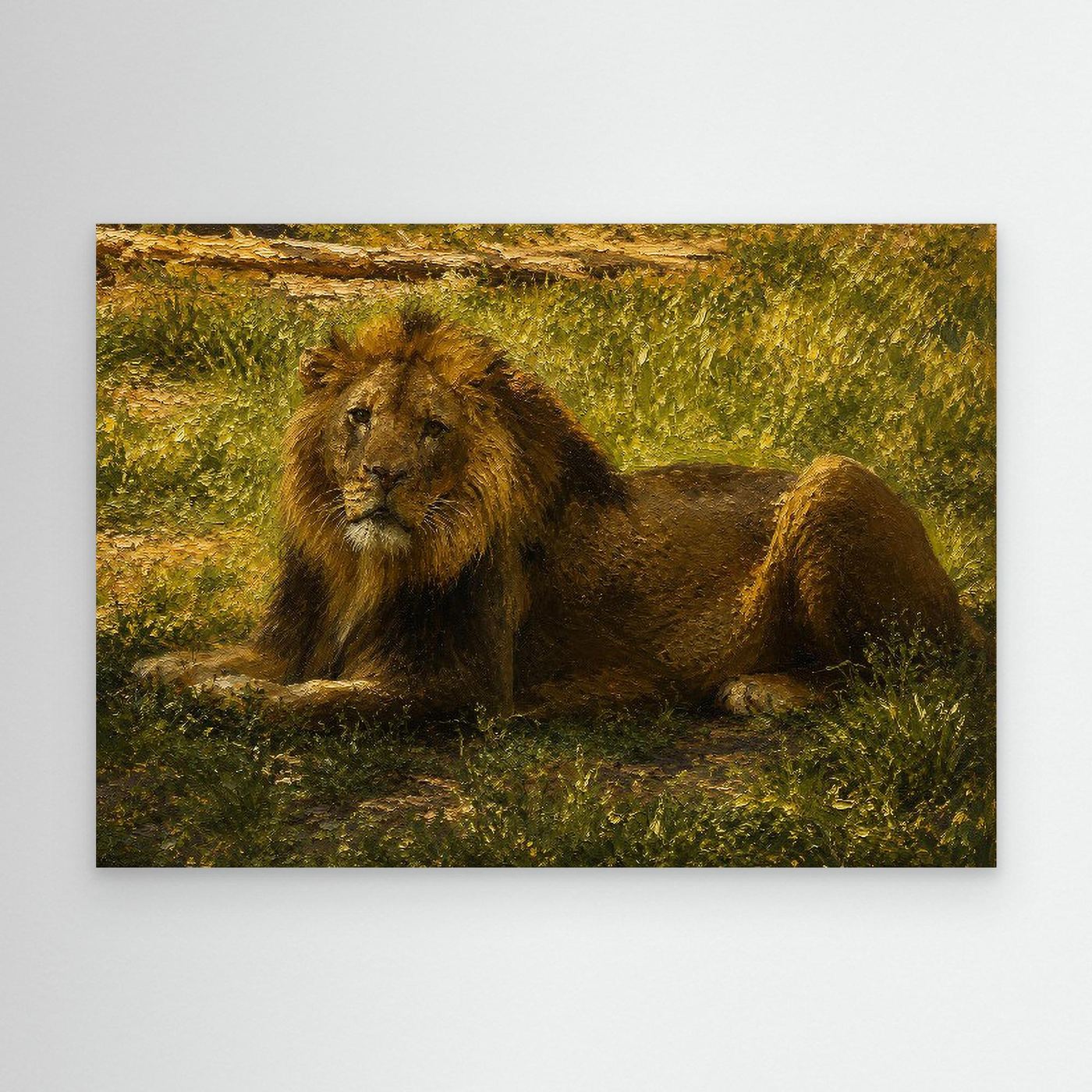 Wildlife | Lion
