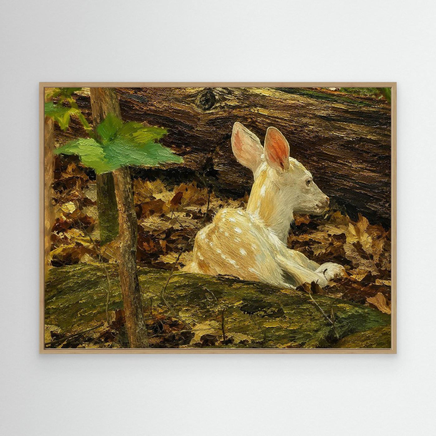 Wildlife | White Deer Fawn - 002