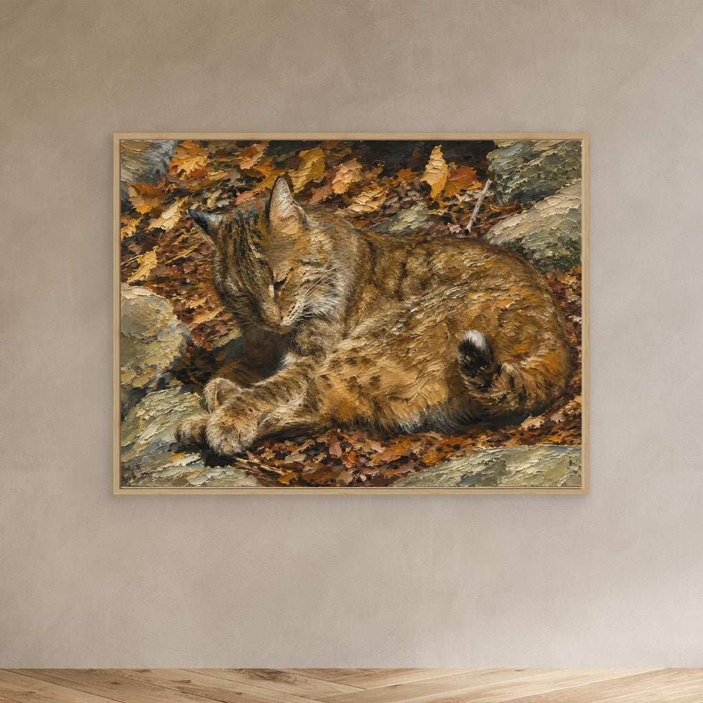 Wildlife | Bobcat