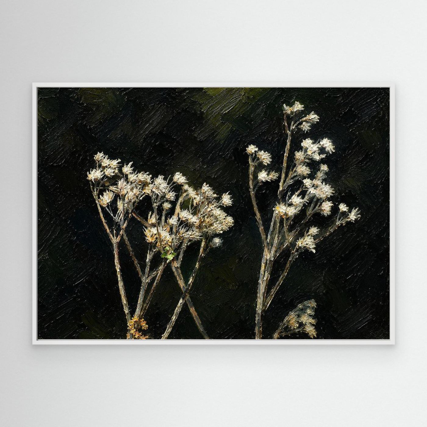 Plant | White Snakeroot
