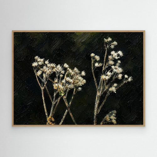 Plant | White Snakeroot
