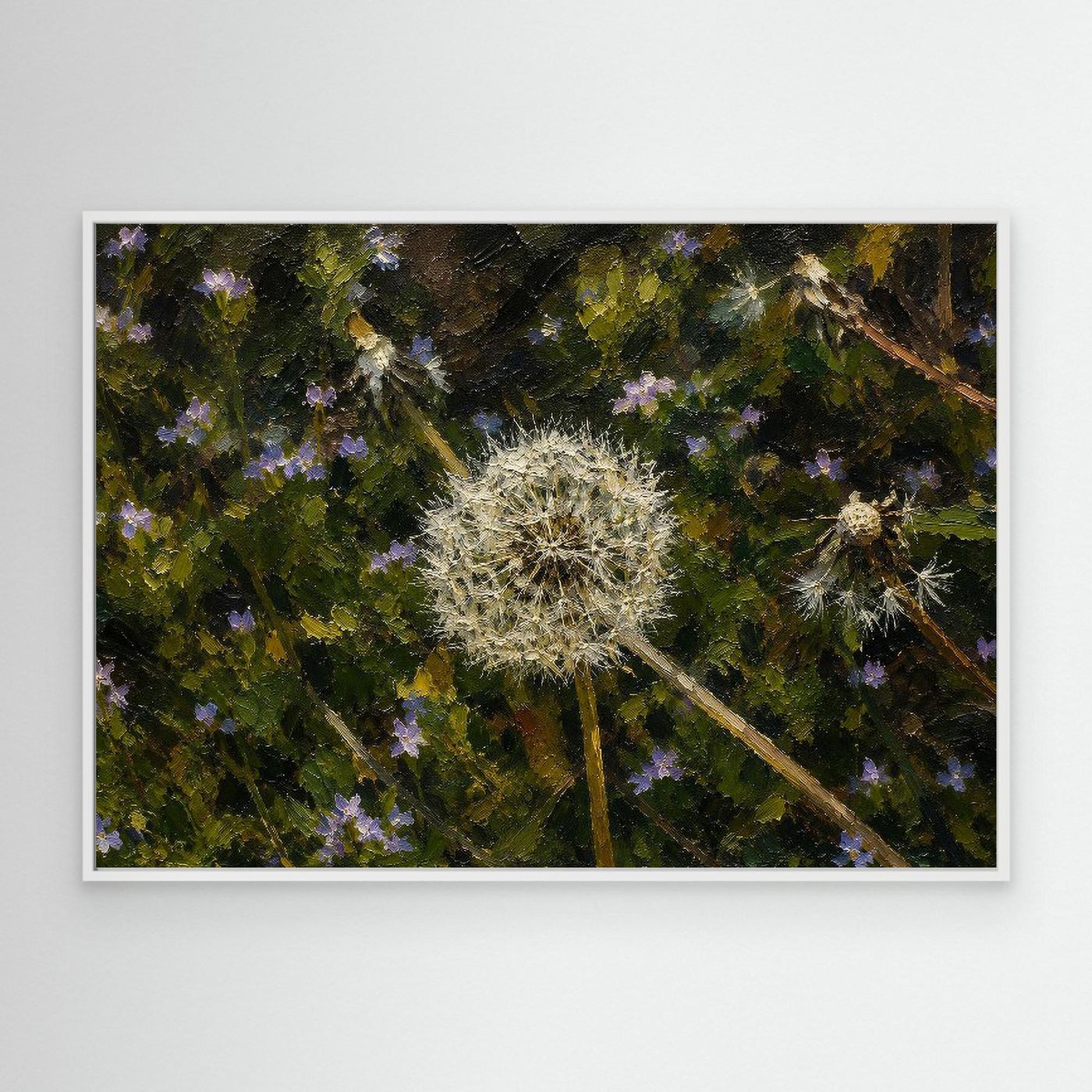 Plant | Dandelion Seed Head