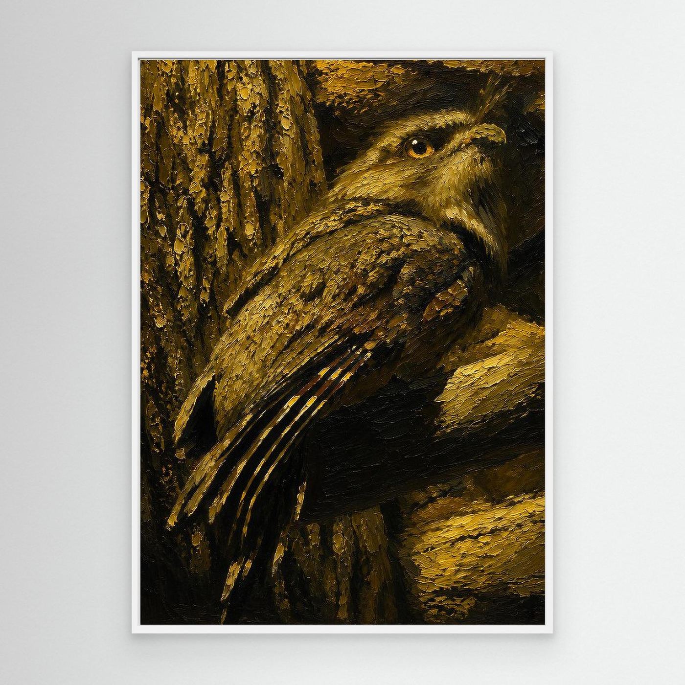 Wildlife | Tawny Frogmouth