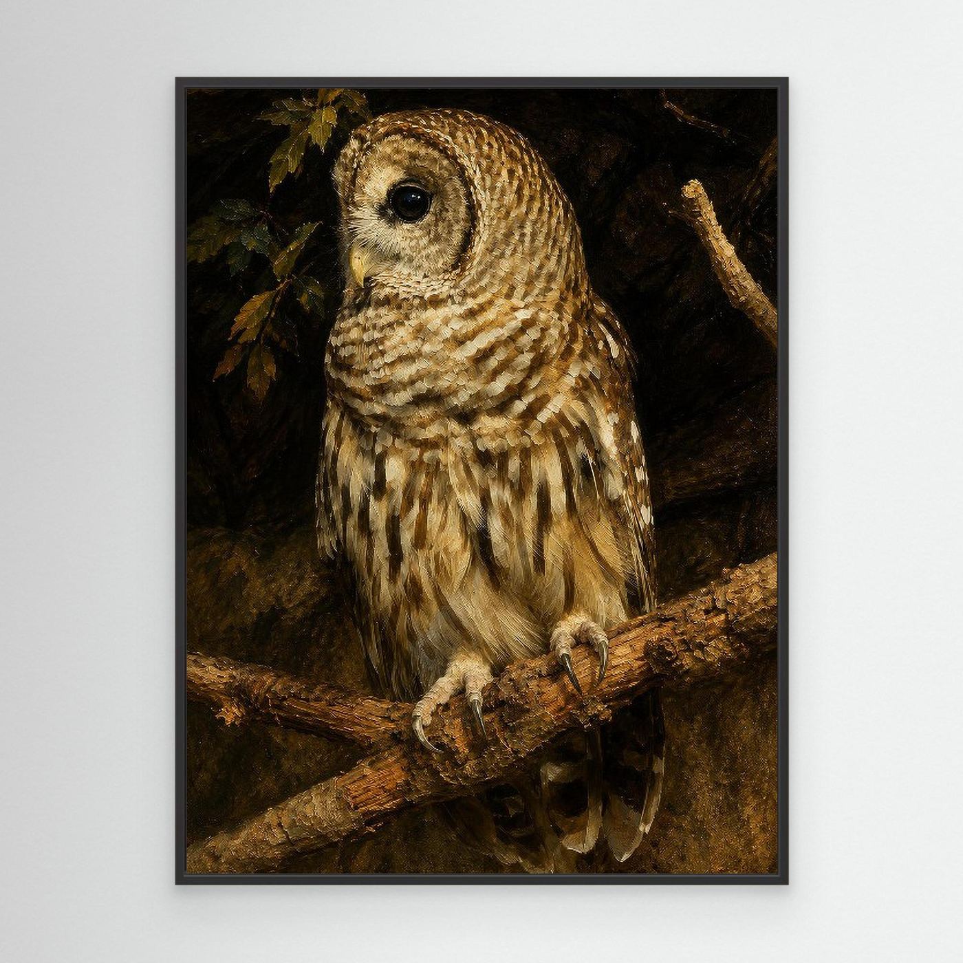 Wildlife | Barred Owl