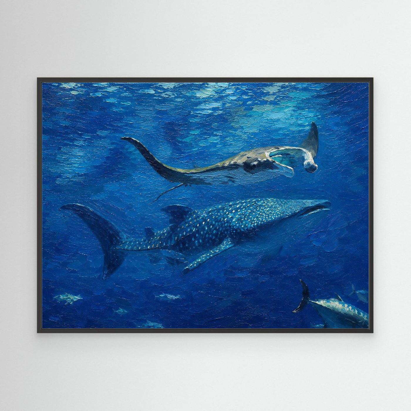 Wildlife | Whale Shark & Manta Ray