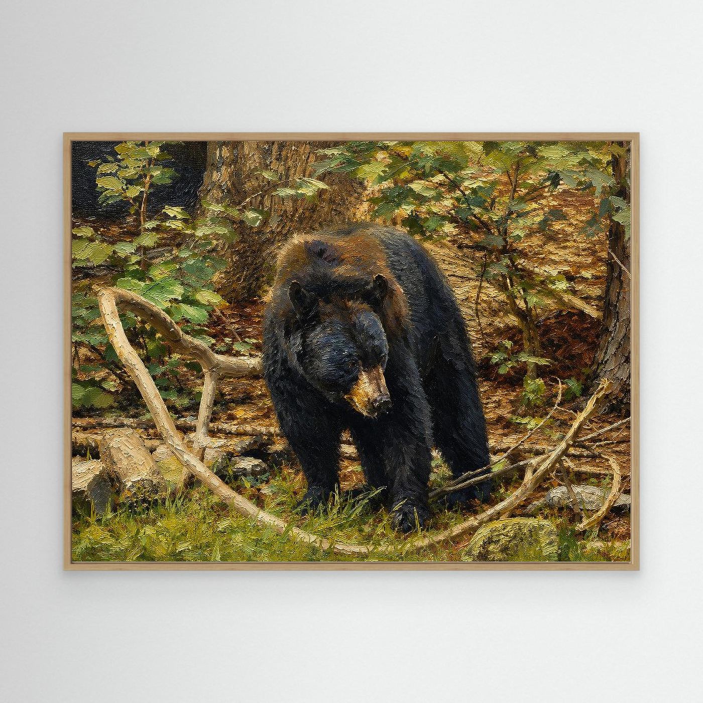 Wildlife | Black Bear