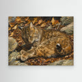 Wildlife | Bobcat