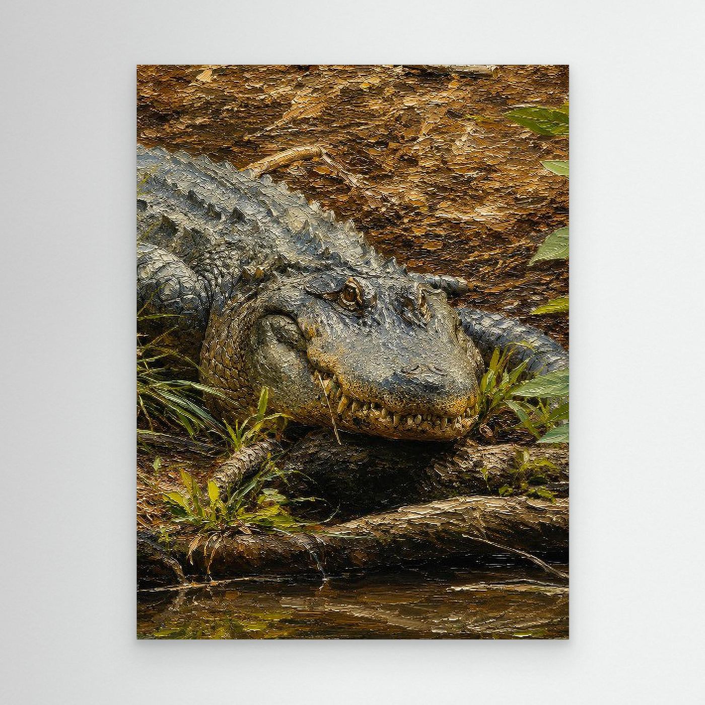 Wildlife | American Alligator - 001