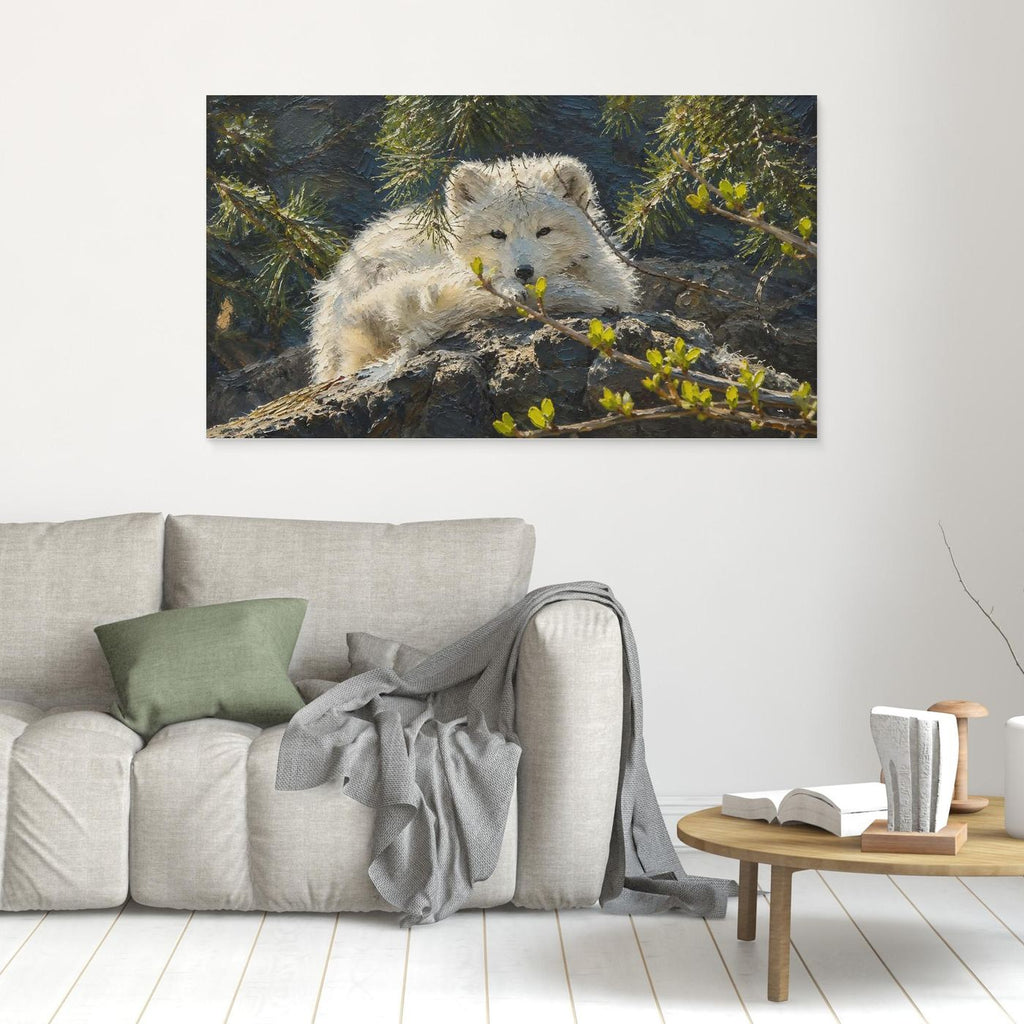 Wildlife | Arctic Fox - 002