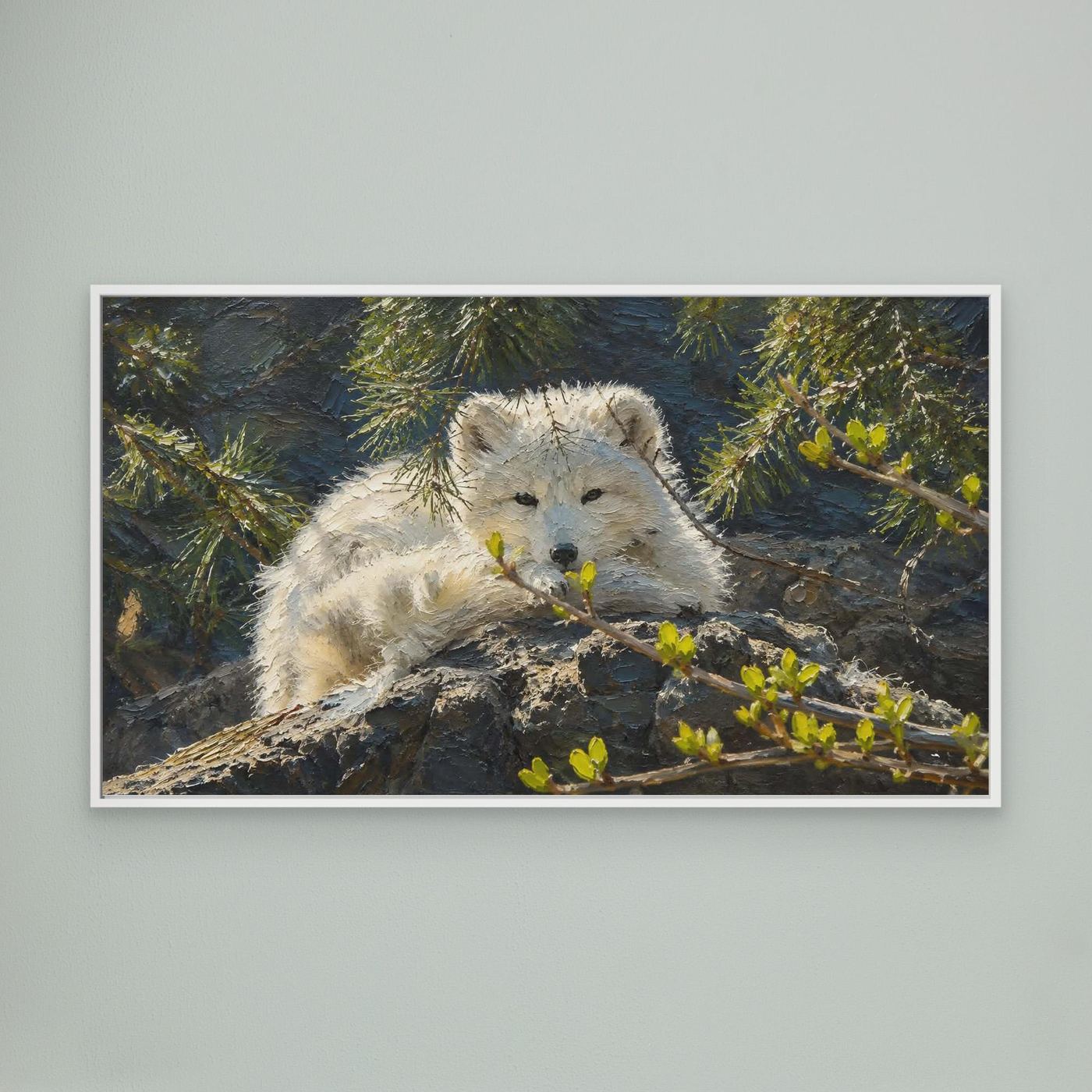 Wildlife | Arctic Fox - 002