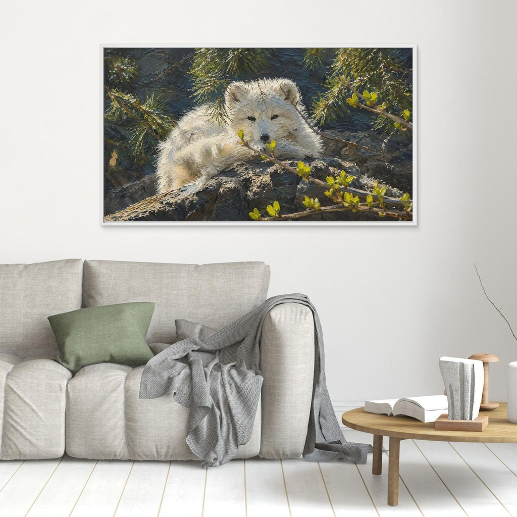 Wildlife | Arctic Fox - 002