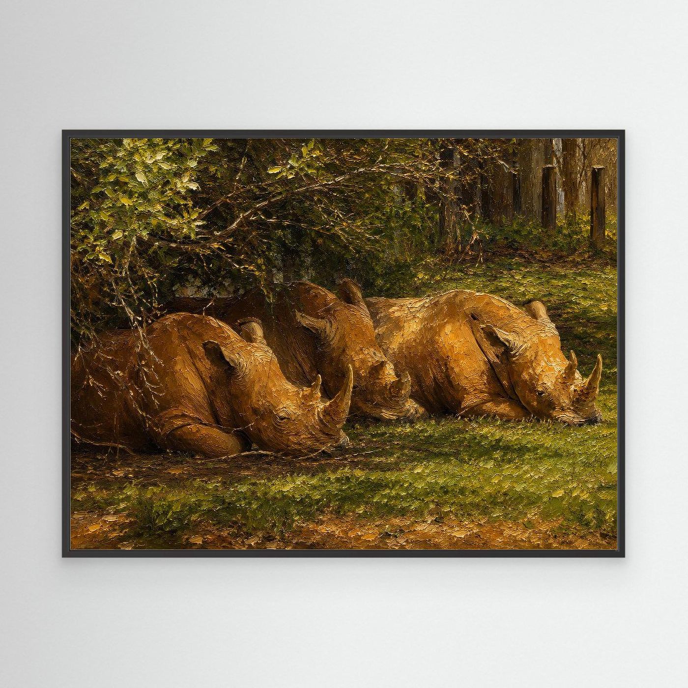 Wildlife | Rhino - 001