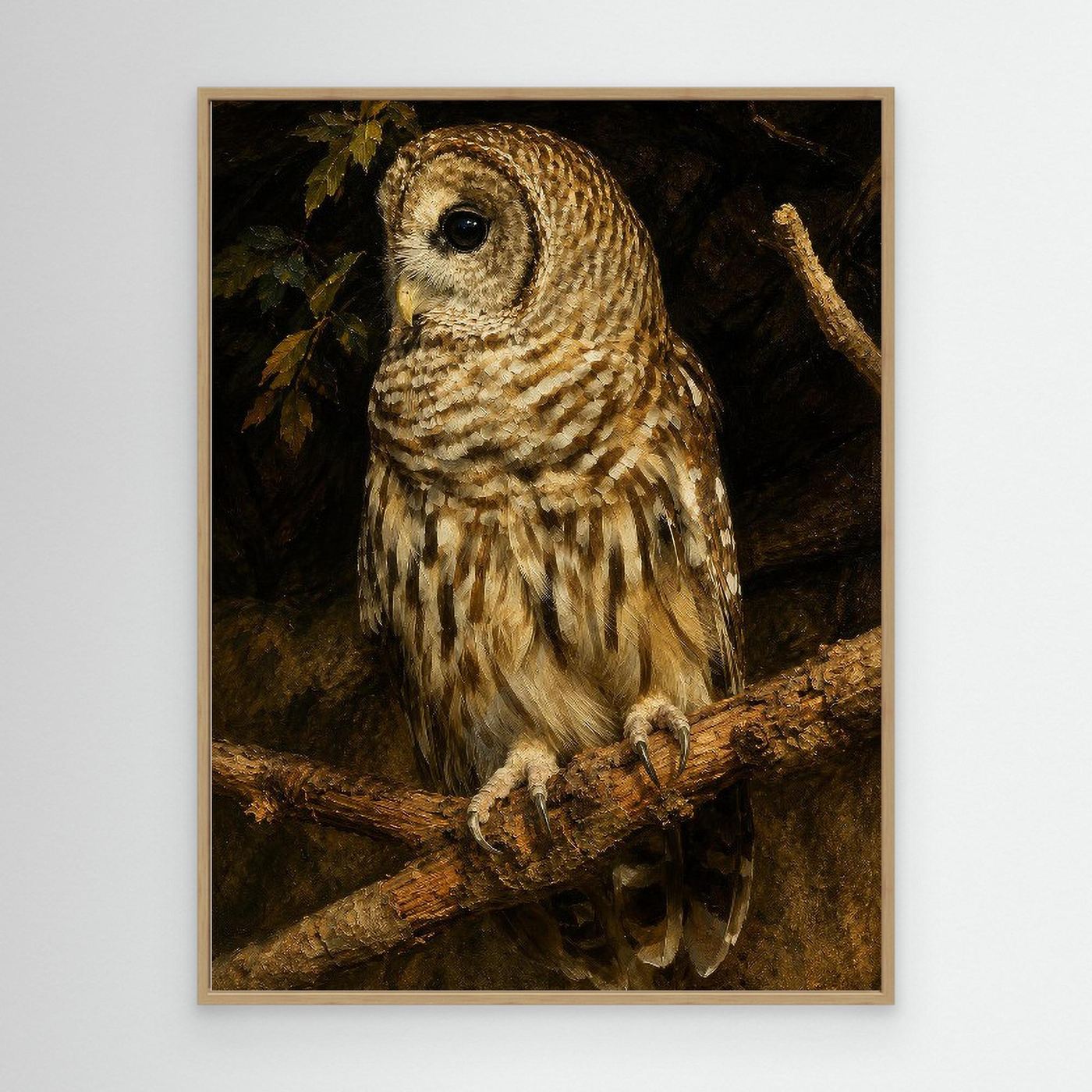 Wildlife | Barred Owl