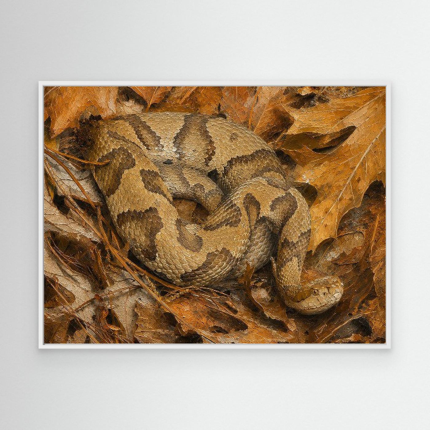 Wildlife | Copperhead