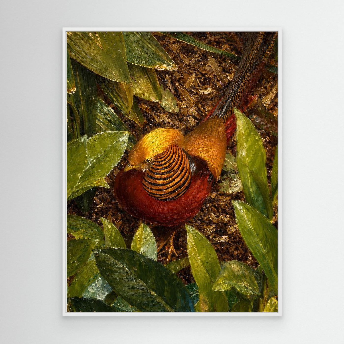 Wildlife | Golden Pheasant