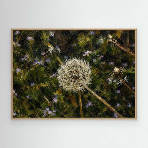 Plant | Dandelion Seed Head