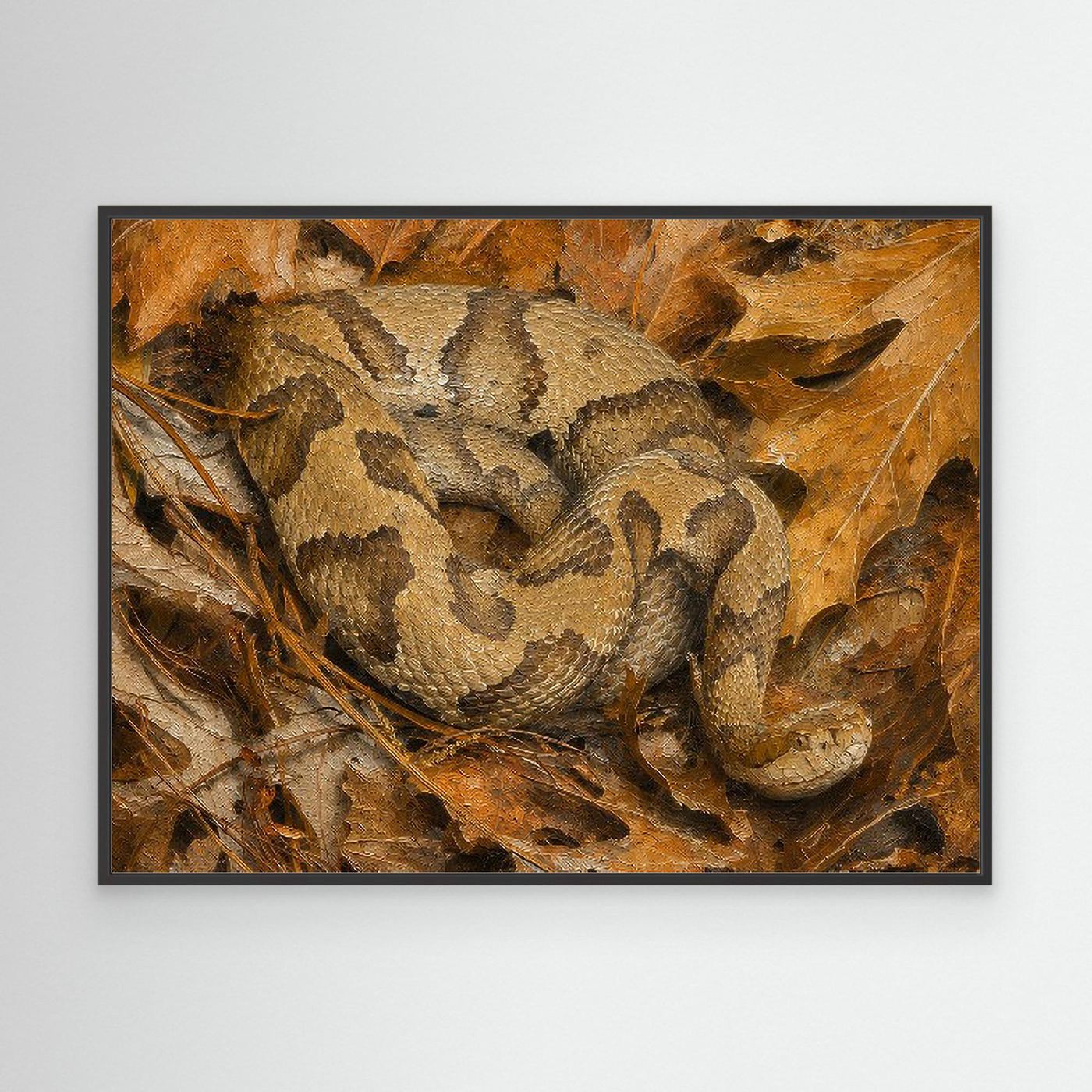 Wildlife | Copperhead