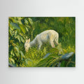 Wildlife | White Deer Fawn - 001