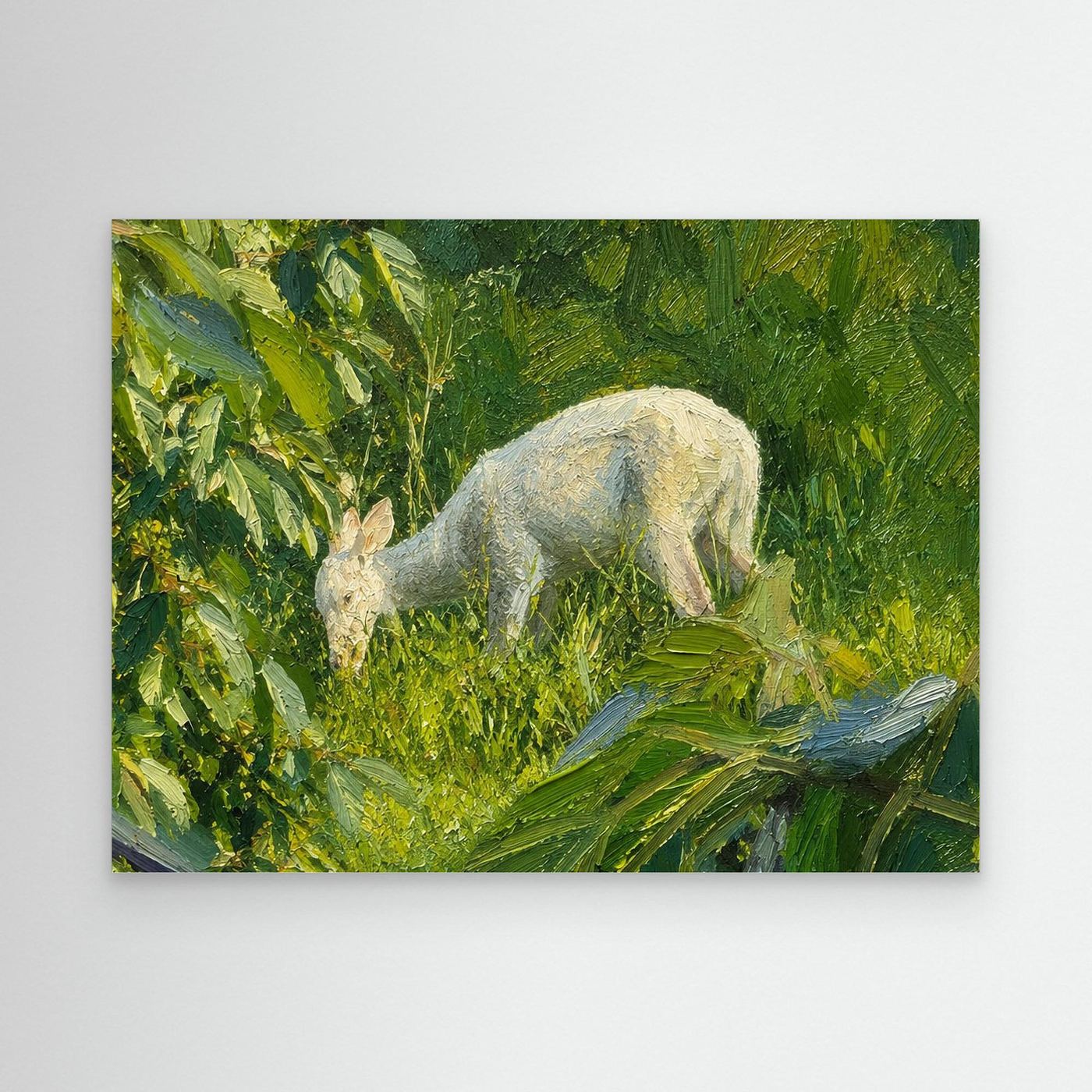 Wildlife | White Deer Fawn - 001