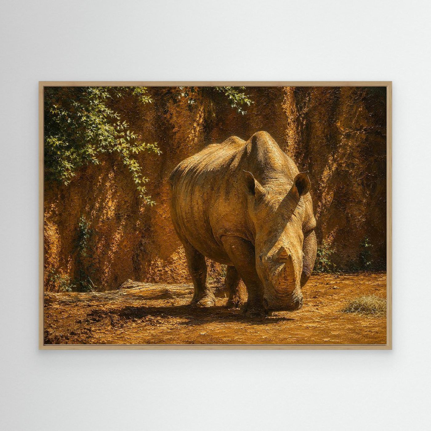 Wildlife | Rhino - 002