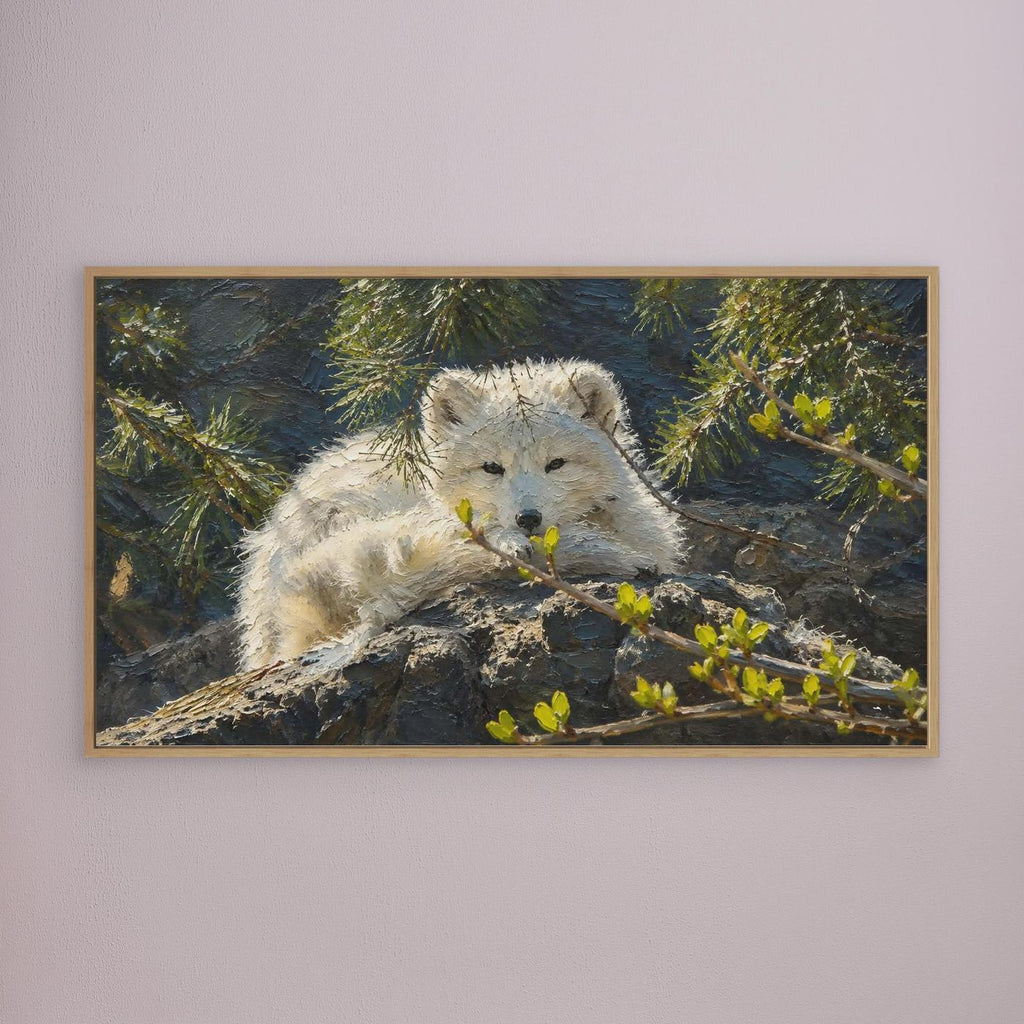 Wildlife | Arctic Fox - 002