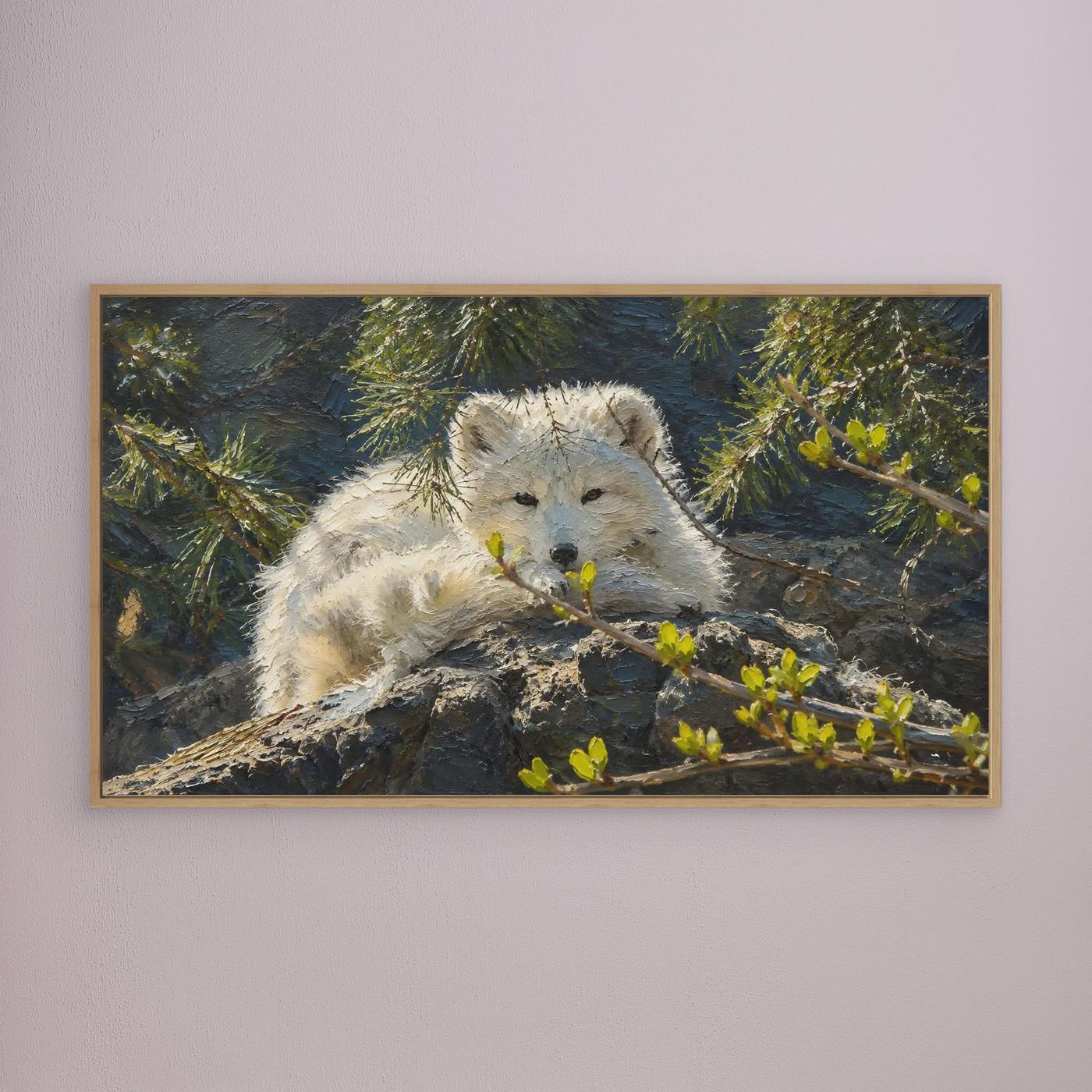 Wildlife | Arctic Fox - 002