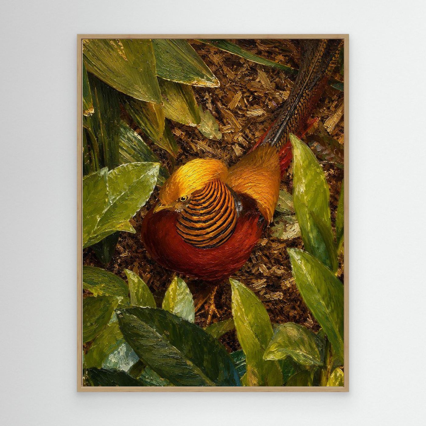 Wildlife | Golden Pheasant