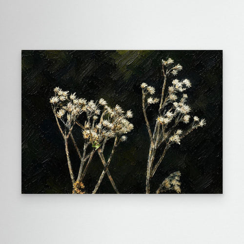 Plant | White Snakeroot