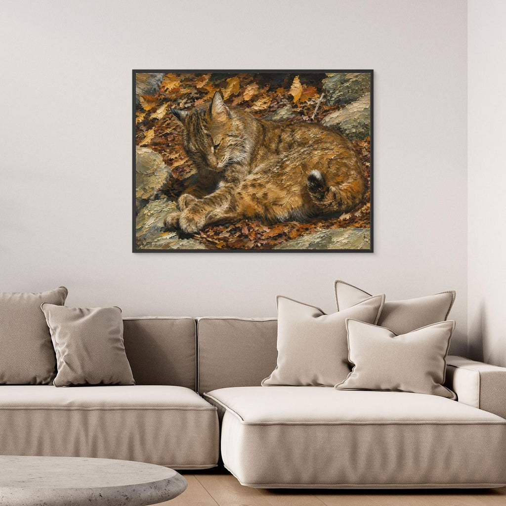Wildlife | Bobcat