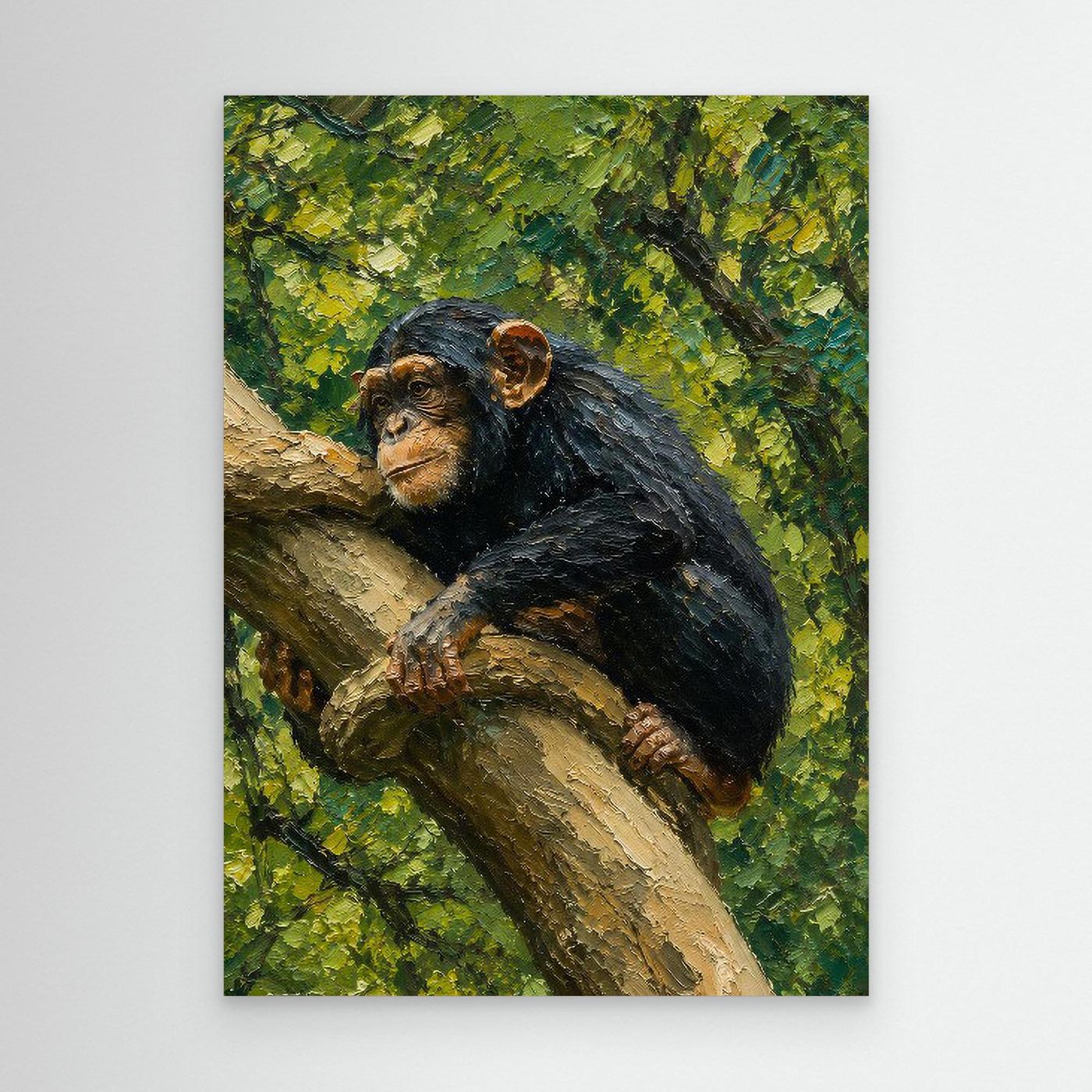 Wildlife | Chimpanzee - 002