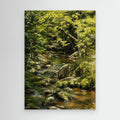 Travel | Pisgah Covered Bridge Nature Trail NC USA