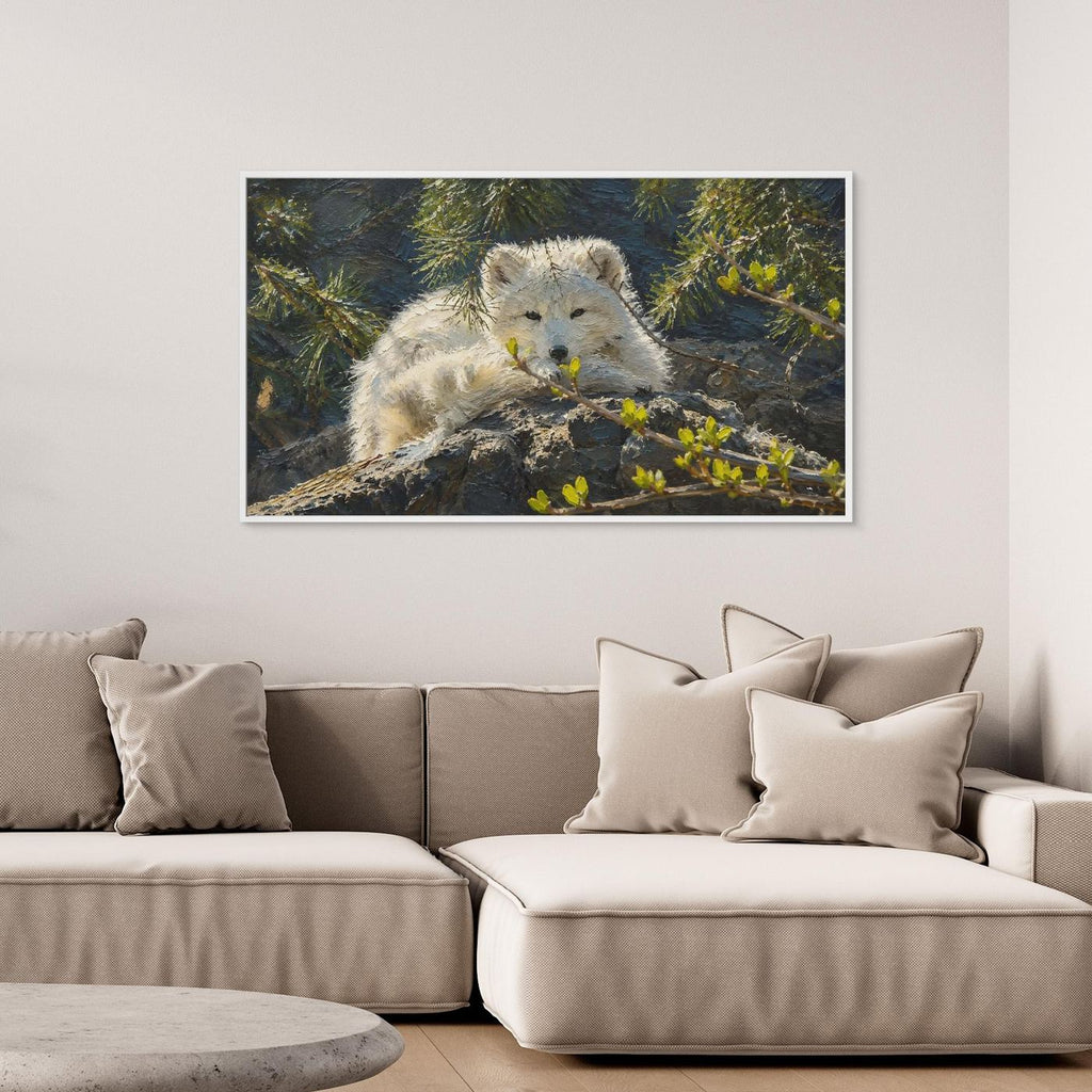 Wildlife | Arctic Fox - 002