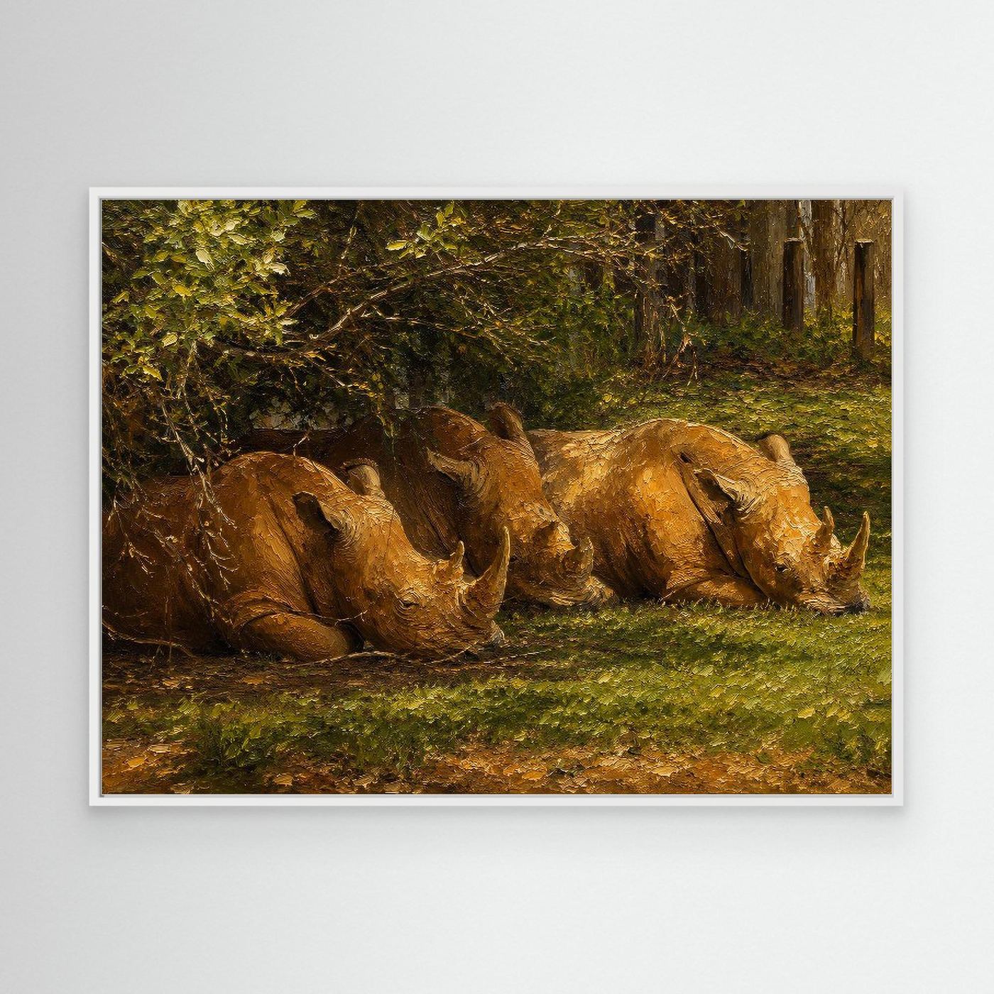 Wildlife | Rhino - 001