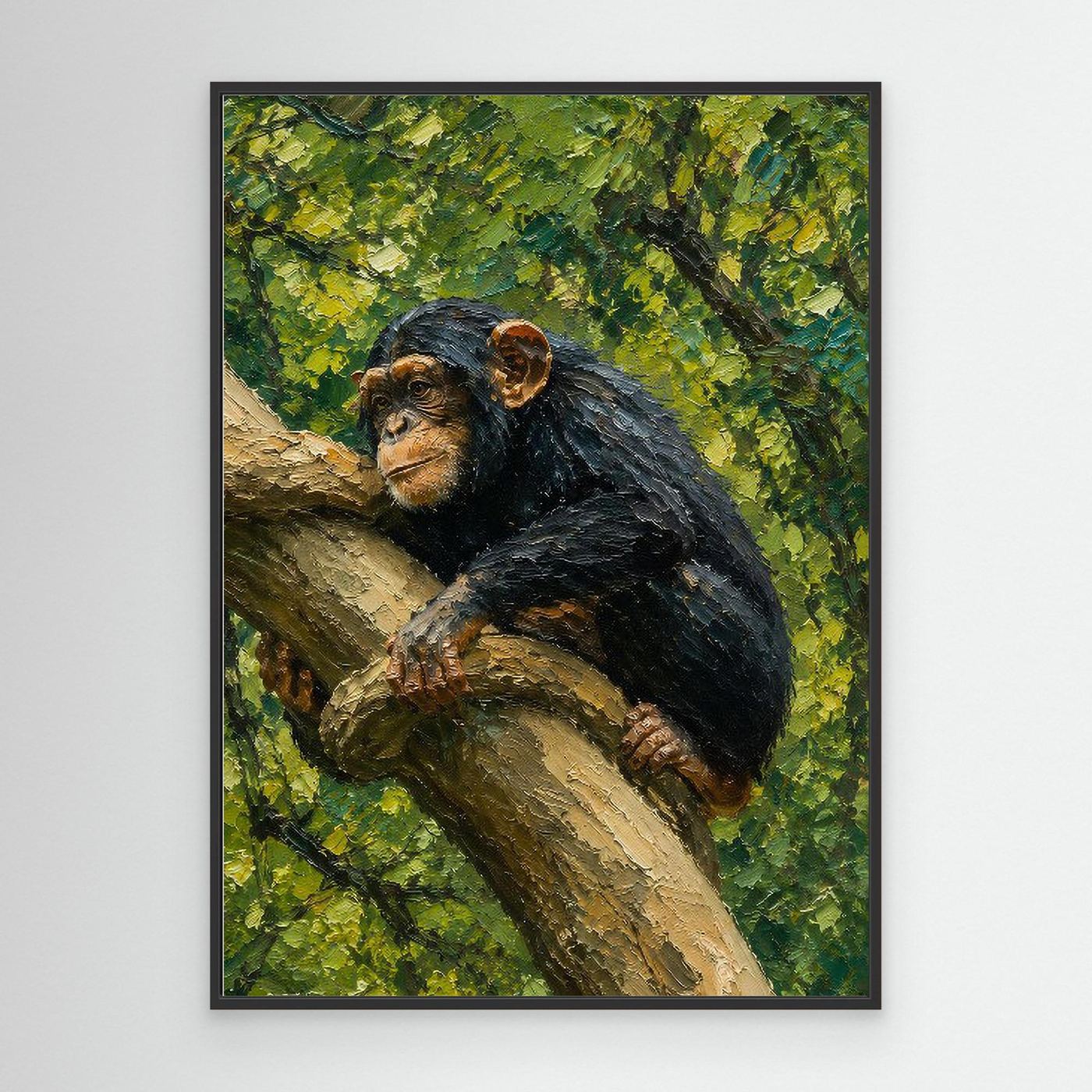 Wildlife | Chimpanzee - 002