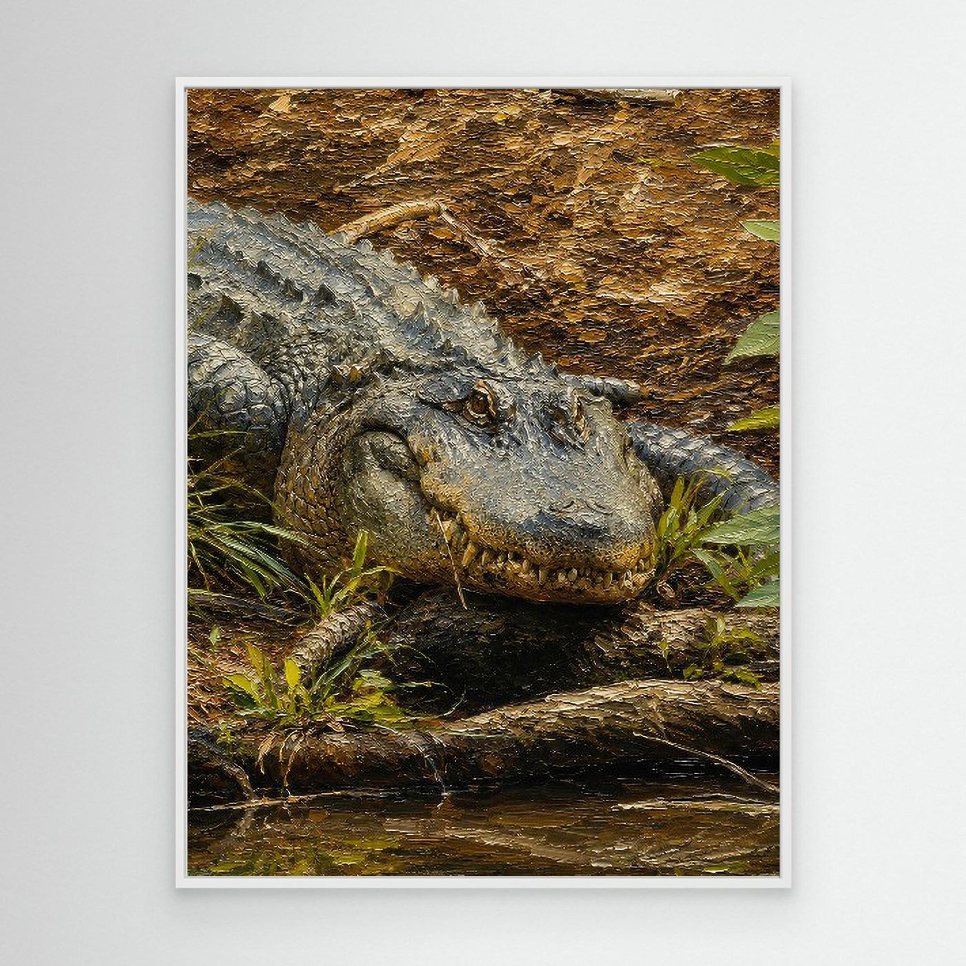 Wildlife | American Alligator - 001
