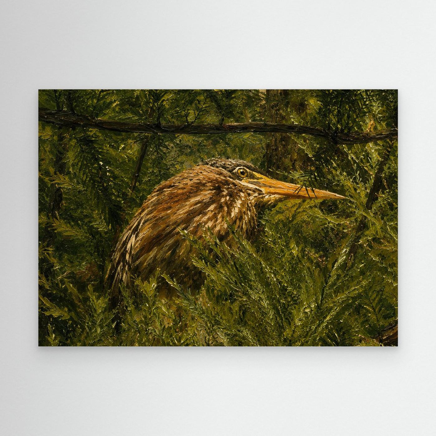 Wildlife | American Bittern