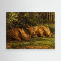 Wildlife | Rhino - 001