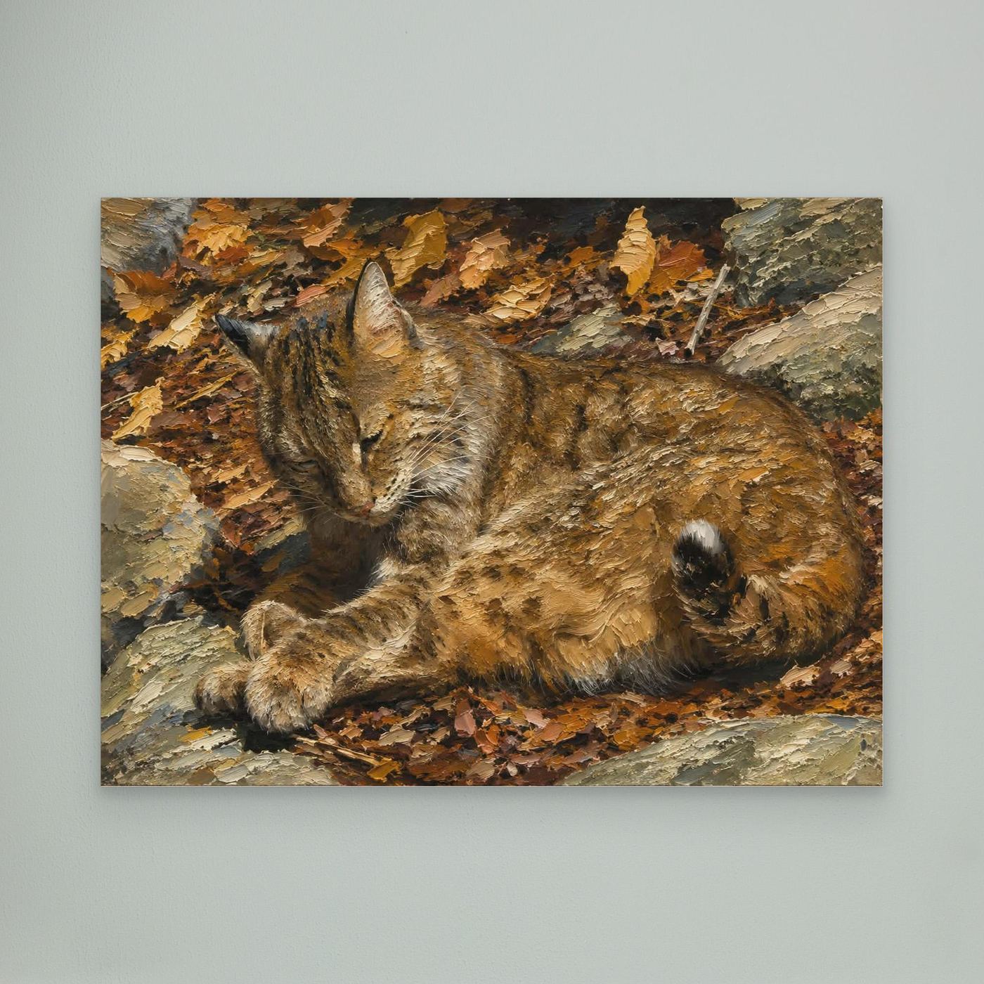 Wildlife | Bobcat