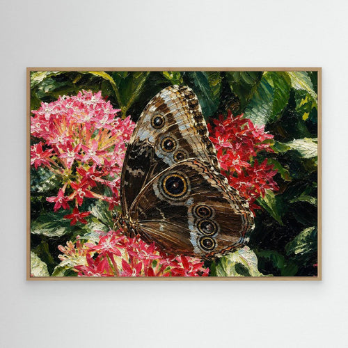 Insect | Blue Morpho Butterfly
