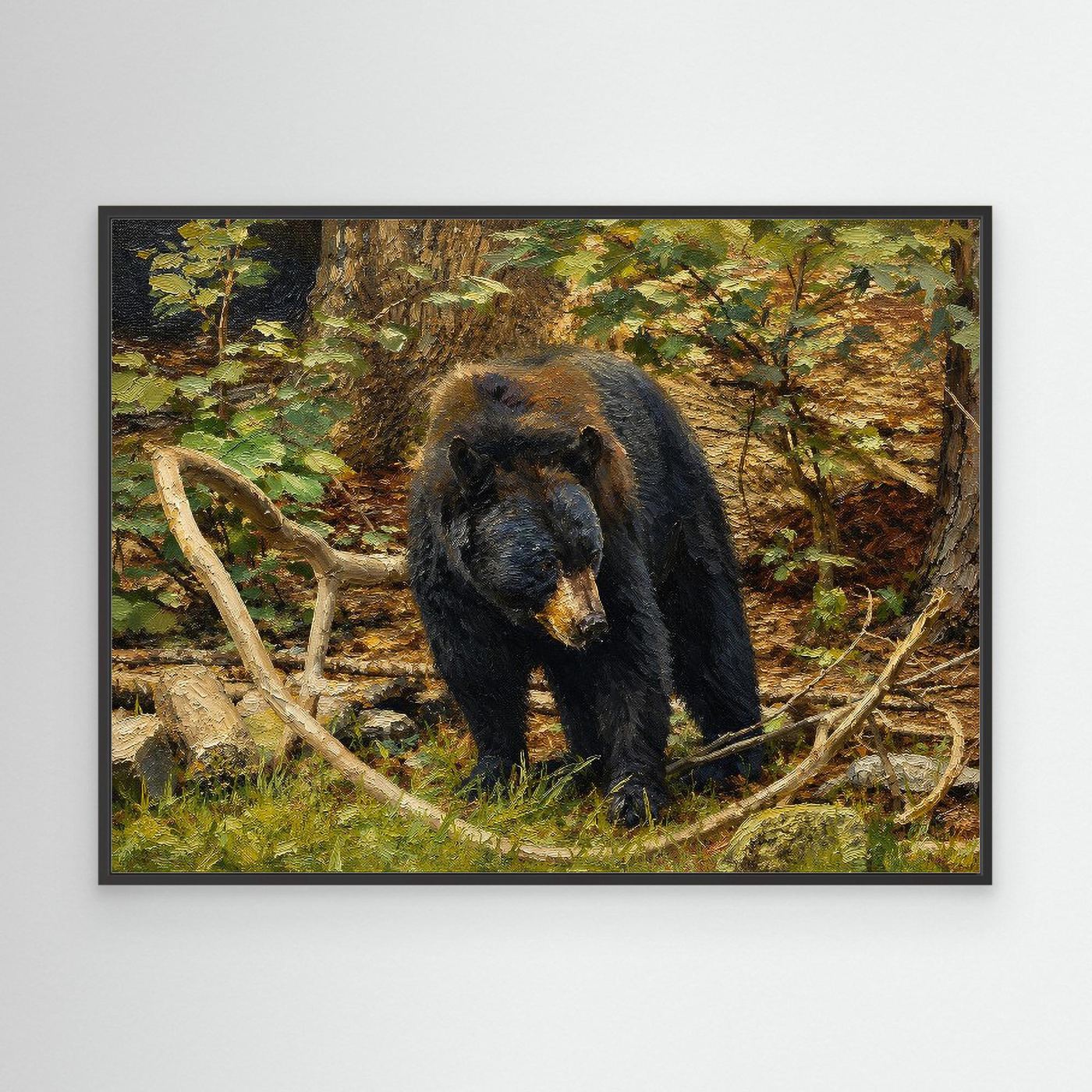 Wildlife | Black Bear