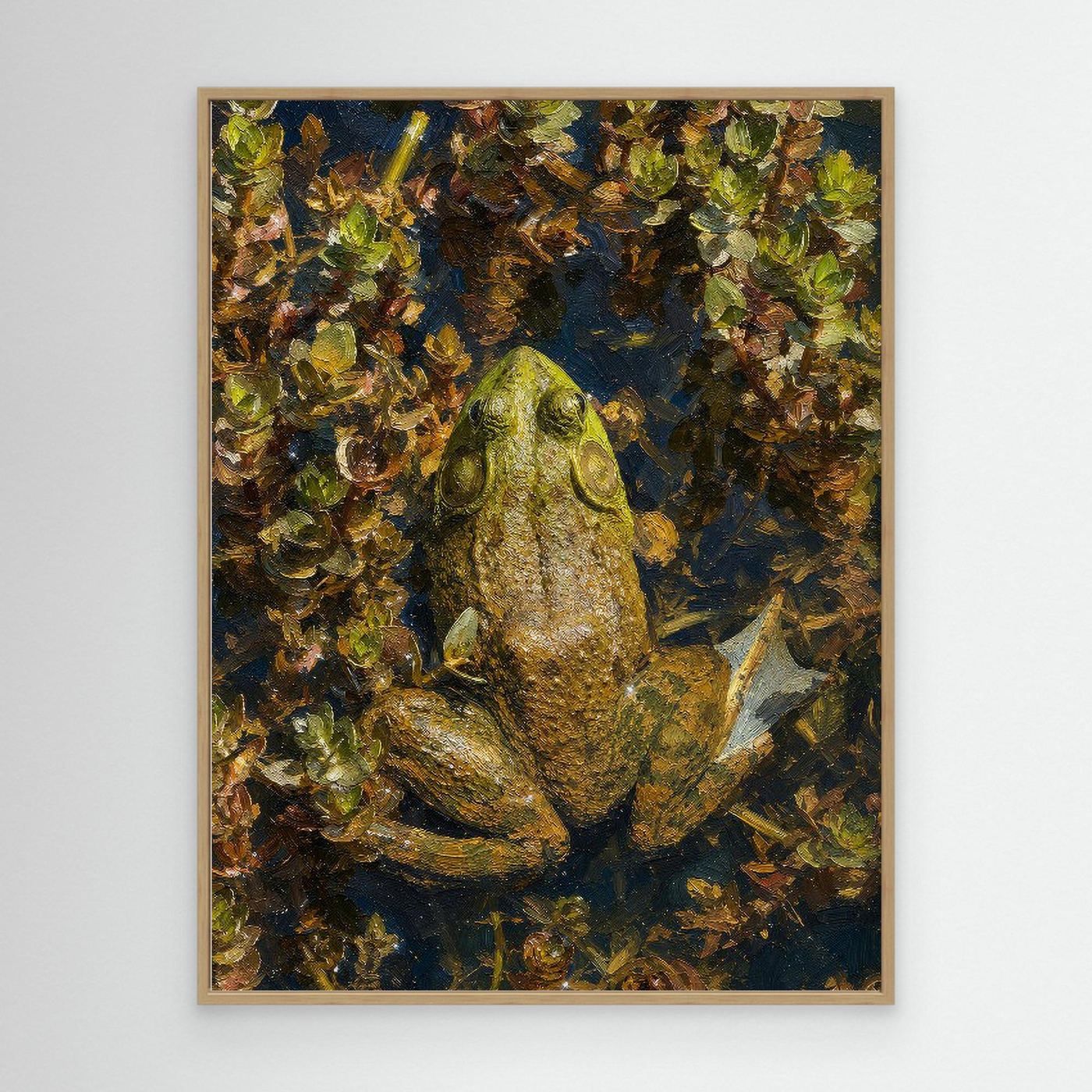 Wildlife | Bullfrog - 001