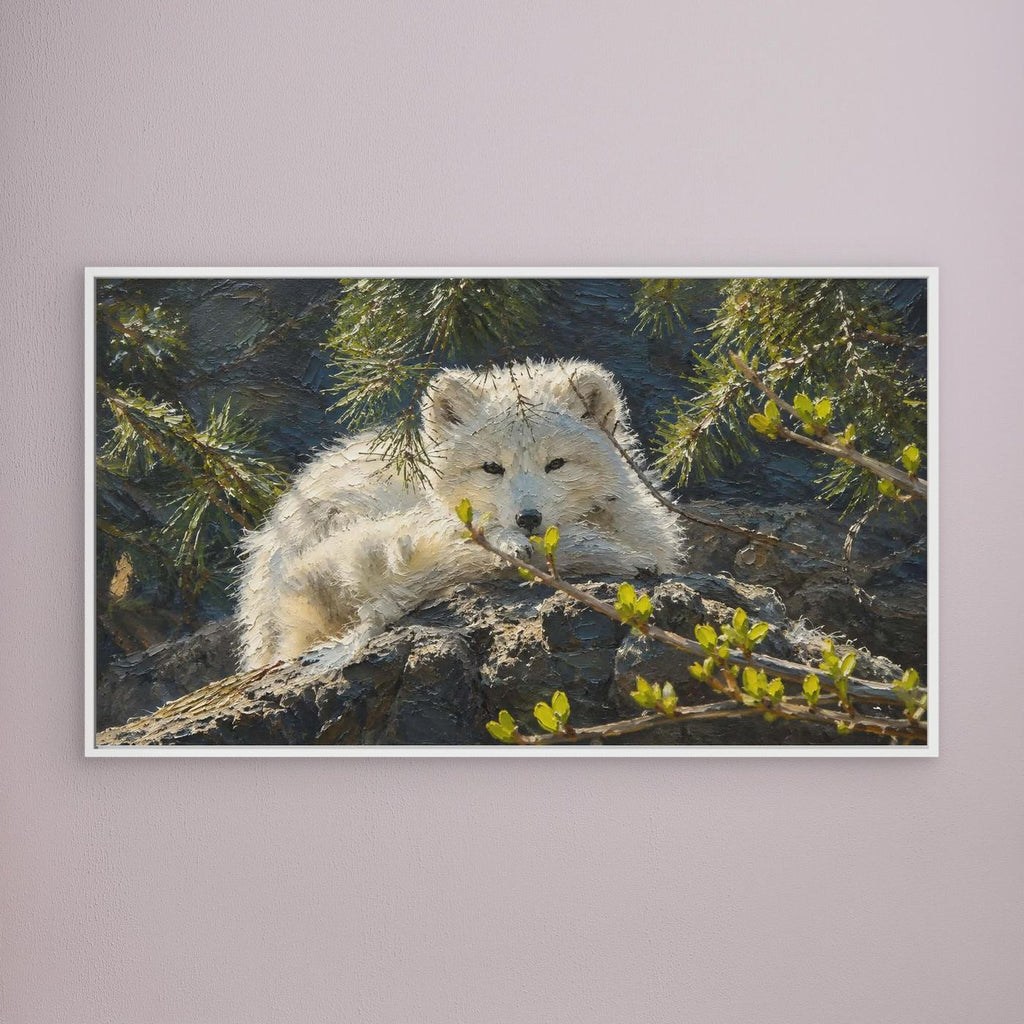 Wildlife | Arctic Fox - 002