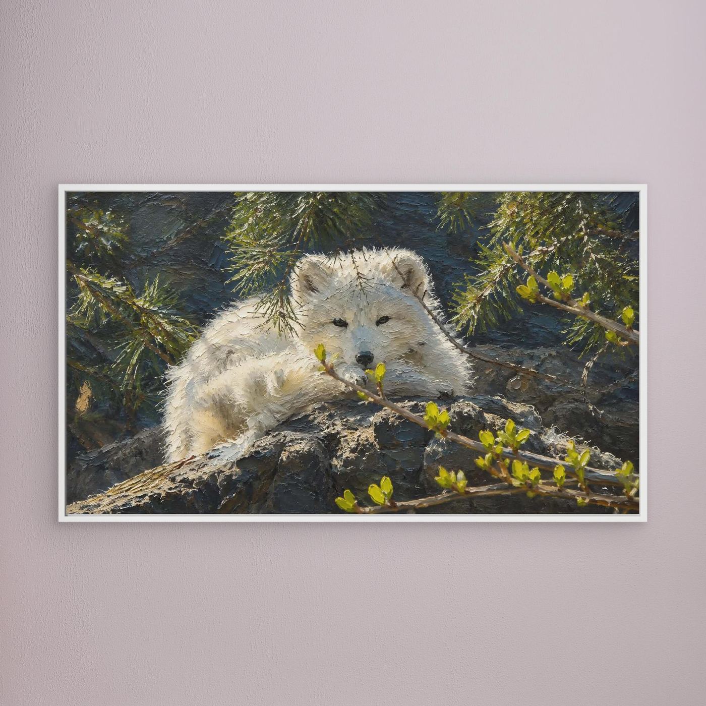 Wildlife | Arctic Fox - 002